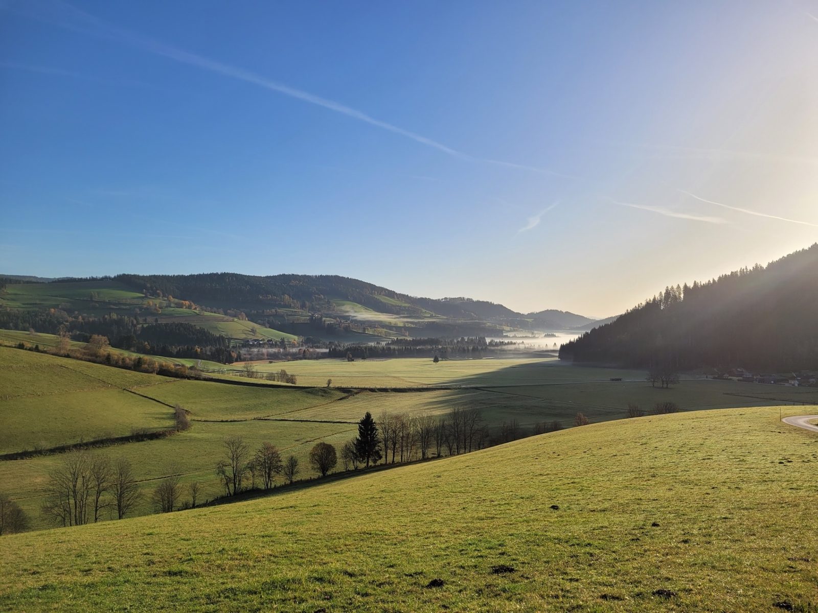 Morgennebel über den Wiesen und Hügeln rund um St. Urban